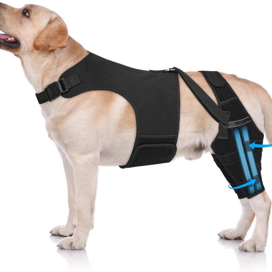 Dog Knee Brace for Torn ACL Hind Leg, Puppy Leg Brace Helps Reduce Pain from Torn CCL, Luxating Patella, Ligament, Hip Dysplasia XS чёрный
Dog Knee Brace for Torn ACL Hind Leg, Puppy Leg Brace Helps Reduce Pain from Torn CCL, Luxating Patella, Ligament, Hip Dysplasia XS чёрный