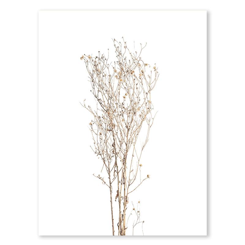 Скандинавский Минимализм Камыш Сухоцвет Растение Постер Осень Фермерский Дом Арт Принт Картина Современная Комната Стена Домашний Декор Холст Живопись 21x30cm No Frame
Скандинавский Минимализм Камыш Сухоцвет Растение Постер Осень Фермерский Дом Арт Принт Картина Современная Комната Стена Домашний Декор Холст Живопись 21x30cm No Frame
