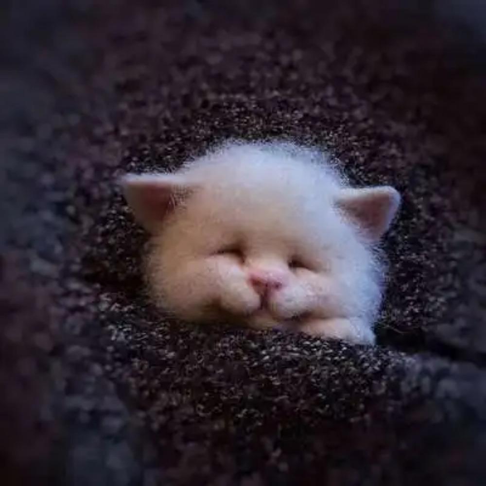 Шерстяной фетр Поке Ручная работа DIY Материал Кит Шерстяная игла Не готовый Кот Лиса Енот Животное Брошь Плюшевая кукла Женская сумка Подвеска