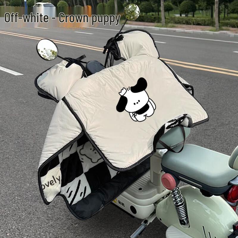 Electric Scooter Winter Windproof & Waterproof Cover
Electric Scooter Winter Windproof & Waterproof Cover