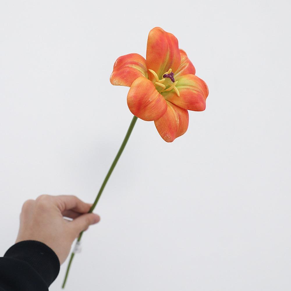 5 шт. букет симуляции тюльпанов с эффектом реального прикосновения, реалистичные искусственные тюльпаны, декор для дома, гостиной оранжевый
5 шт. букет симуляции тюльпанов с эффектом реального прикосновения, реалистичные искусственные тюльпаны, декор для дома, гостиной оранжевый