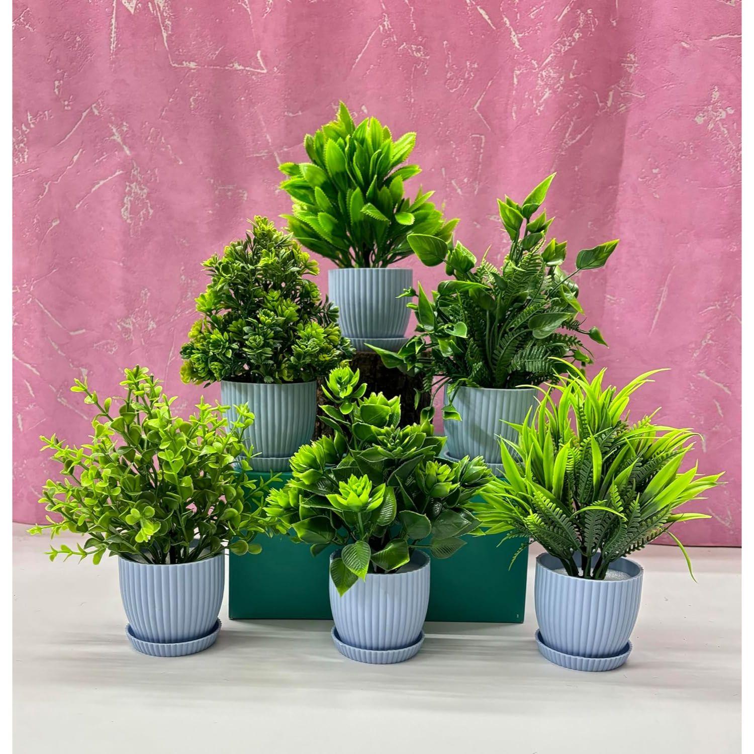 Plastic 6 Packs Fake Plants Small,Mini Artificial Plants Indoor For Home Farmhouse Bathroom Shelf Décor(Height : 17Cm,Blue) синій
Plastic 6 Packs Fake Plants Small,Mini Artificial Plants Indoor For Home Farmhouse Bathroom Shelf Décor(Height : 17Cm,Blue) синій