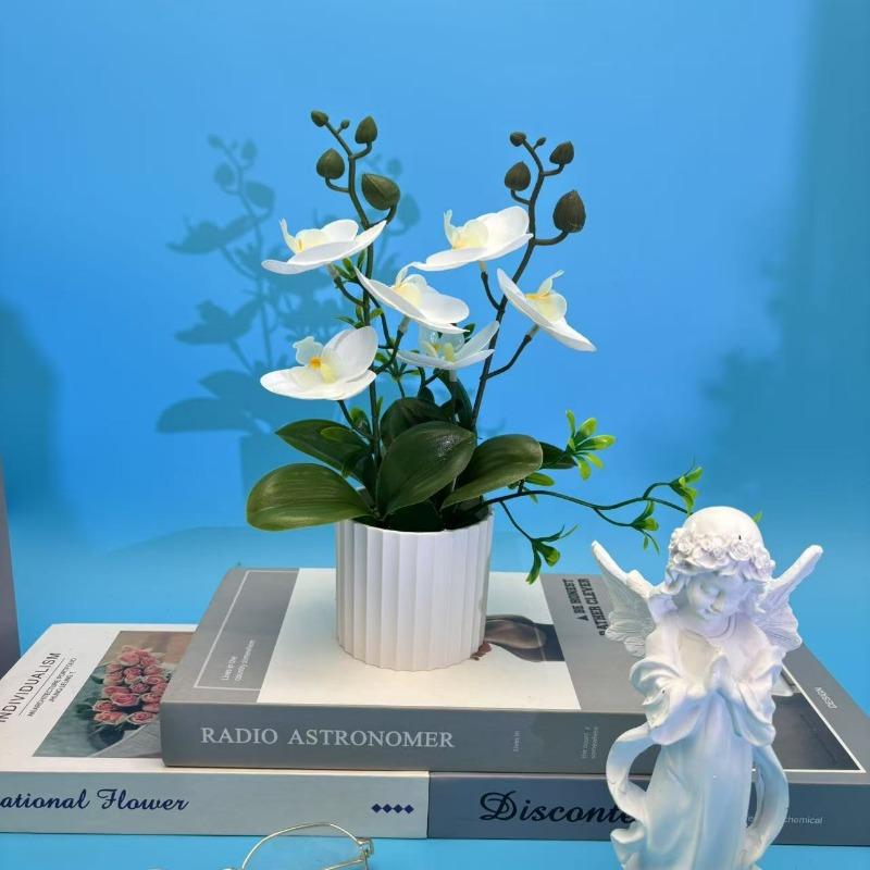 Искусственные цветы, Искусственные цветы Фаленопсис БонсайВ помещении Гостиная Зеленые растения Горшечные растения РеквизитЦветочные горшки и Композиции белый
Искусственные цветы, Искусственные цветы Фаленопсис БонсайВ помещении Гостиная Зеленые растения Горшечные растения РеквизитЦветочные горшки и Композиции белый