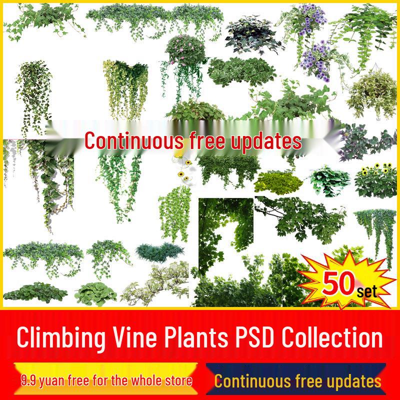 PS Wisteria Climbing Vines: Landscape Diagram PSD Free Cutout Material
PS Wisteria Climbing Vines: Landscape Diagram PSD Free Cutout Material