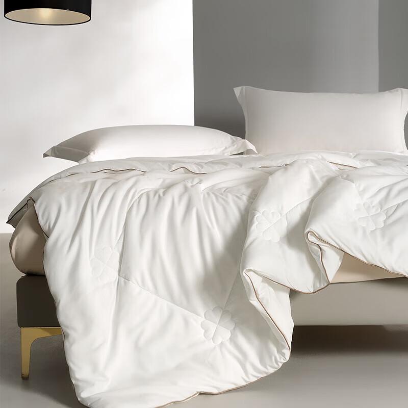 Warm Core Antibacterial Four Seasons Comforter
Warm Core Antibacterial Four Seasons Comforter