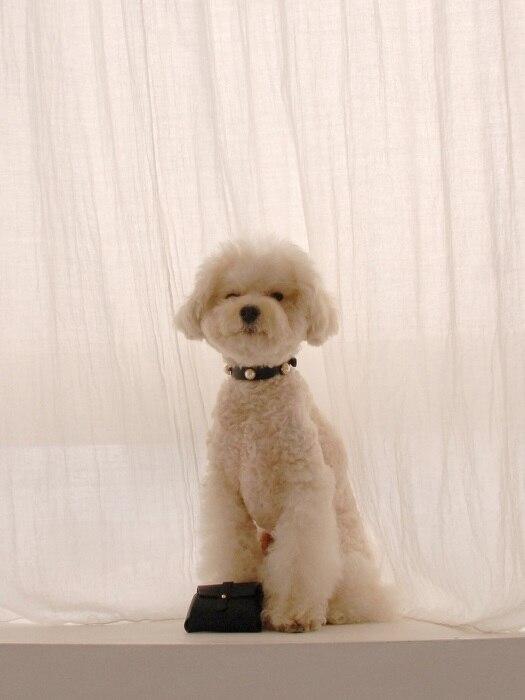 MAISON DE MIU Solid Pearl Collar - Black S
MAISON DE MIU Solid Pearl Collar - Black S