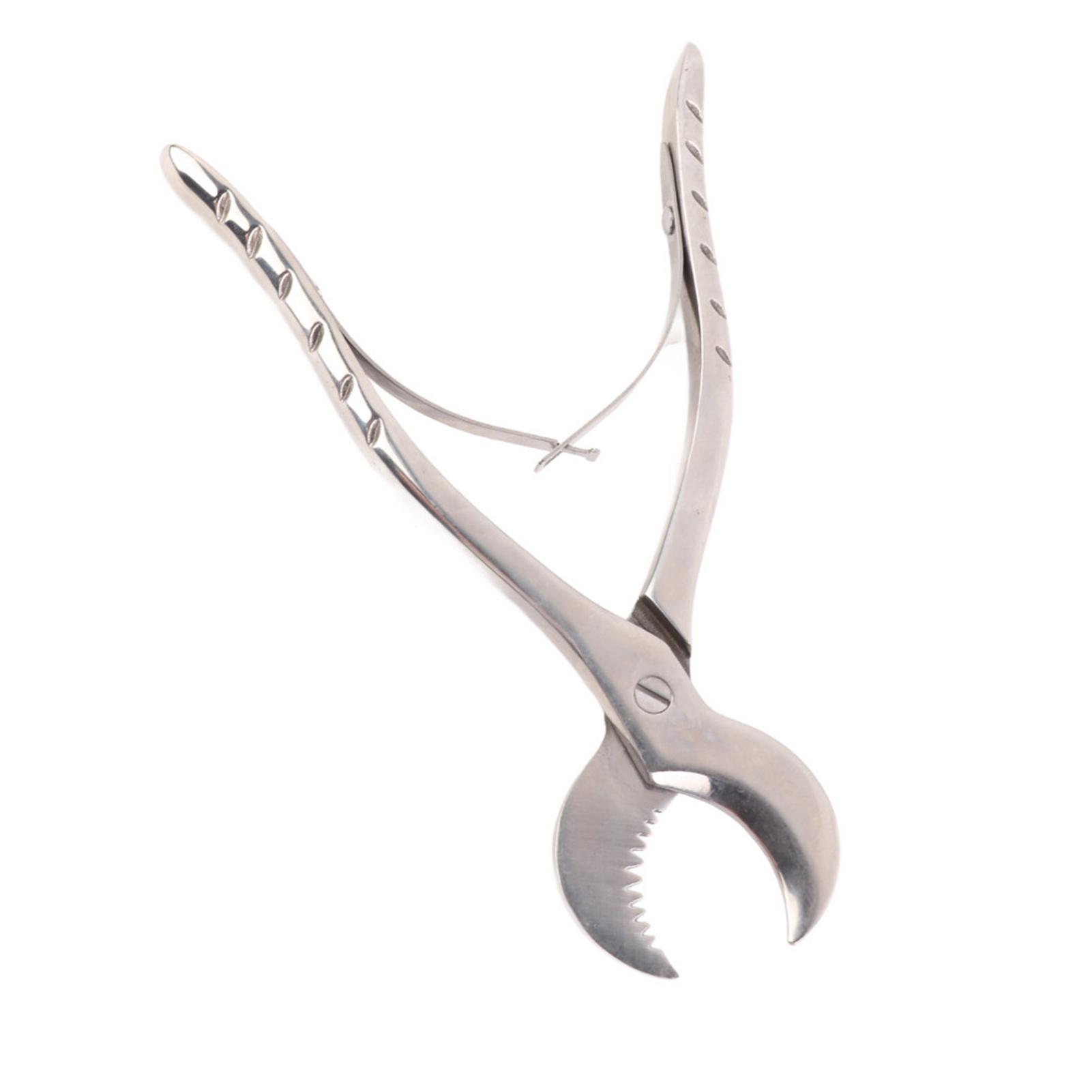 Dentist Stainless Steel Cutting Pliers Laboratory Plaster Shears Scissor Dentist Tool
Dentist Stainless Steel Cutting Pliers Laboratory Plaster Shears Scissor Dentist Tool