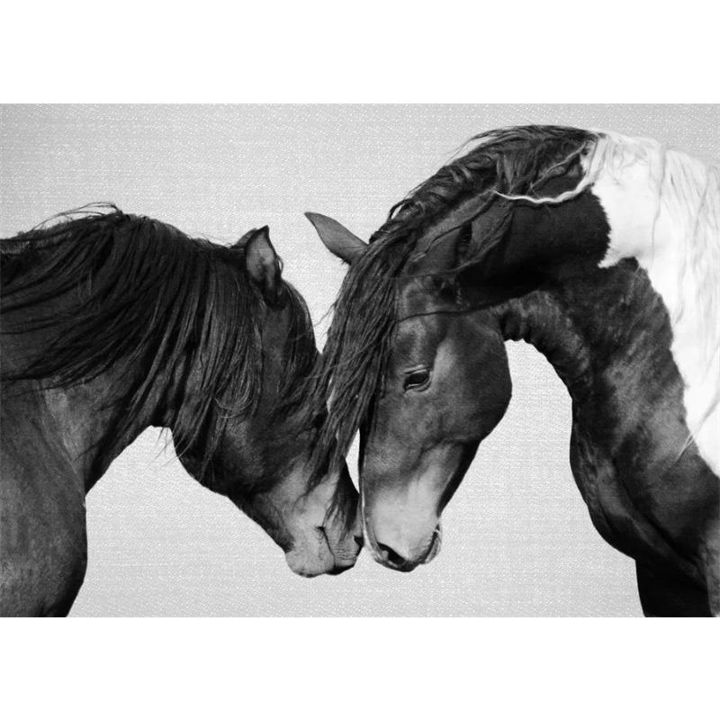 Лошади Черно-белая Картина на Холсте HD Печать Плакаты Животные Лошади Настенные Картины для Современной Гостиной Украшения Дома 21cm×30cm NoFrame
Лошади Черно-белая Картина на Холсте HD Печать Плакаты Животные Лошади Настенные Картины для Современной Гостиной Украшения Дома 21cm×30cm NoFrame