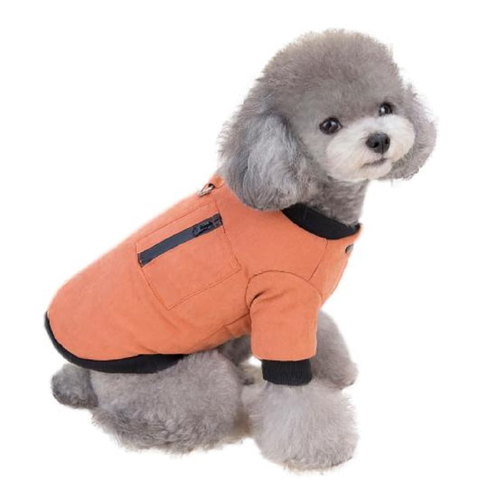 DauStage Dog Coat, Dog Jacket, Pet Clothes, Cold Weather Outfit with D-Rings, Cat Clothes, Walking Outings, Orange, Size M
DauStage Dog Coat, Dog Jacket, Pet Clothes, Cold Weather Outfit with D-Rings, Cat Clothes, Walking Outings, Orange, Size M