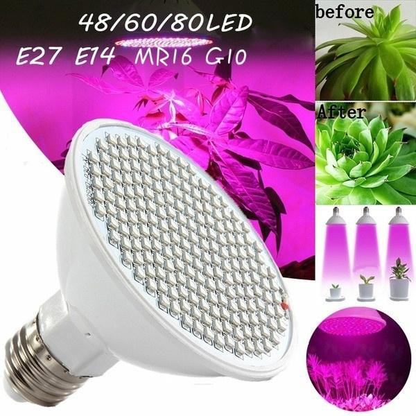 E27 E14 MR16 G10 80/60/48 LED Полный спектр Красный синий свет светодиодный гидропонный цветок Вег Растущая лампа
E27 E14 MR16 G10 80/60/48 LED Полный спектр Красный синий свет светодиодный гидропонный цветок Вег Растущая лампа