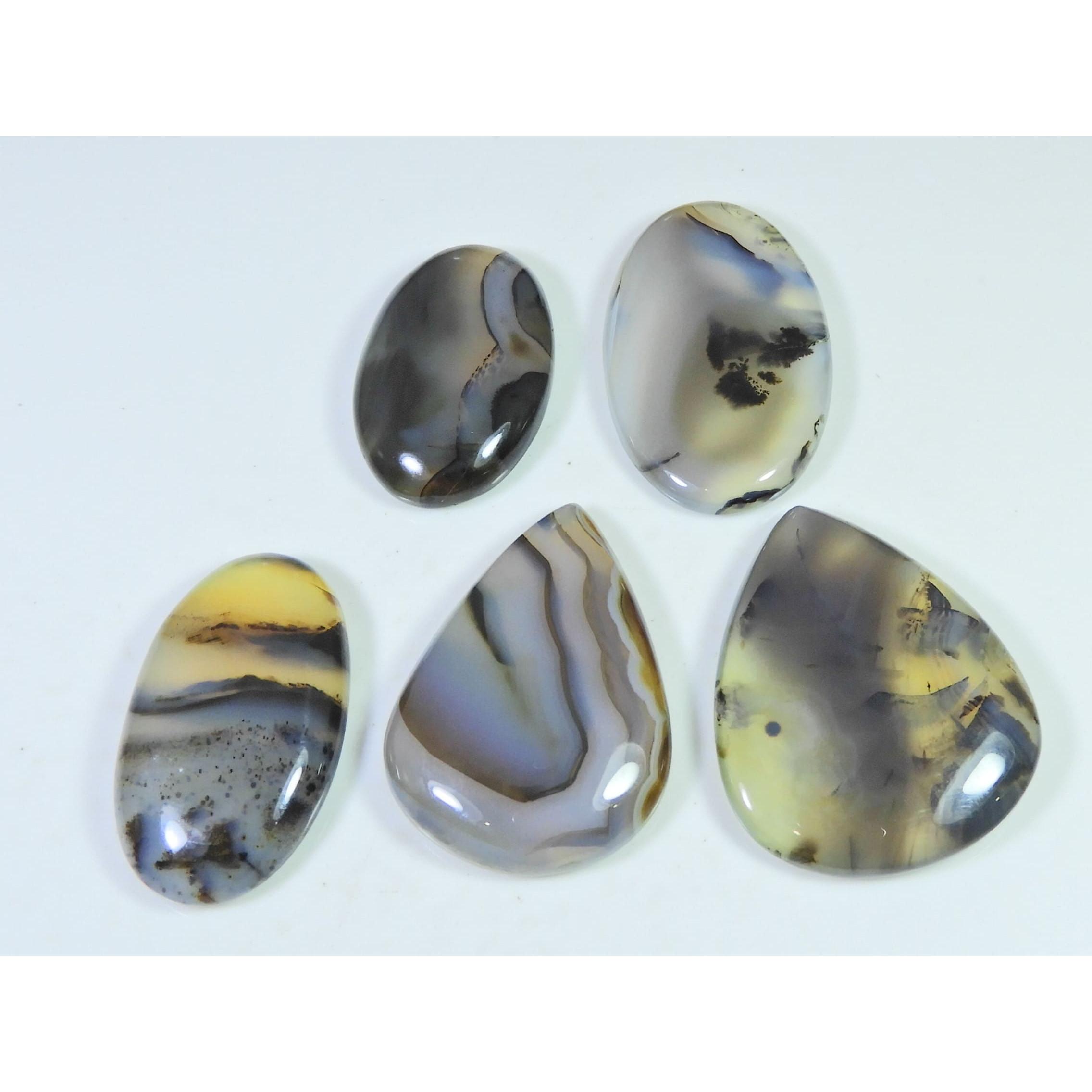 05Pcs Natural Montana Agate Mix Shape Cabochon Loose Gemstone 270Cts. Lot C-494
05Pcs Natural Montana Agate Mix Shape Cabochon Loose Gemstone 270Cts. Lot C-494