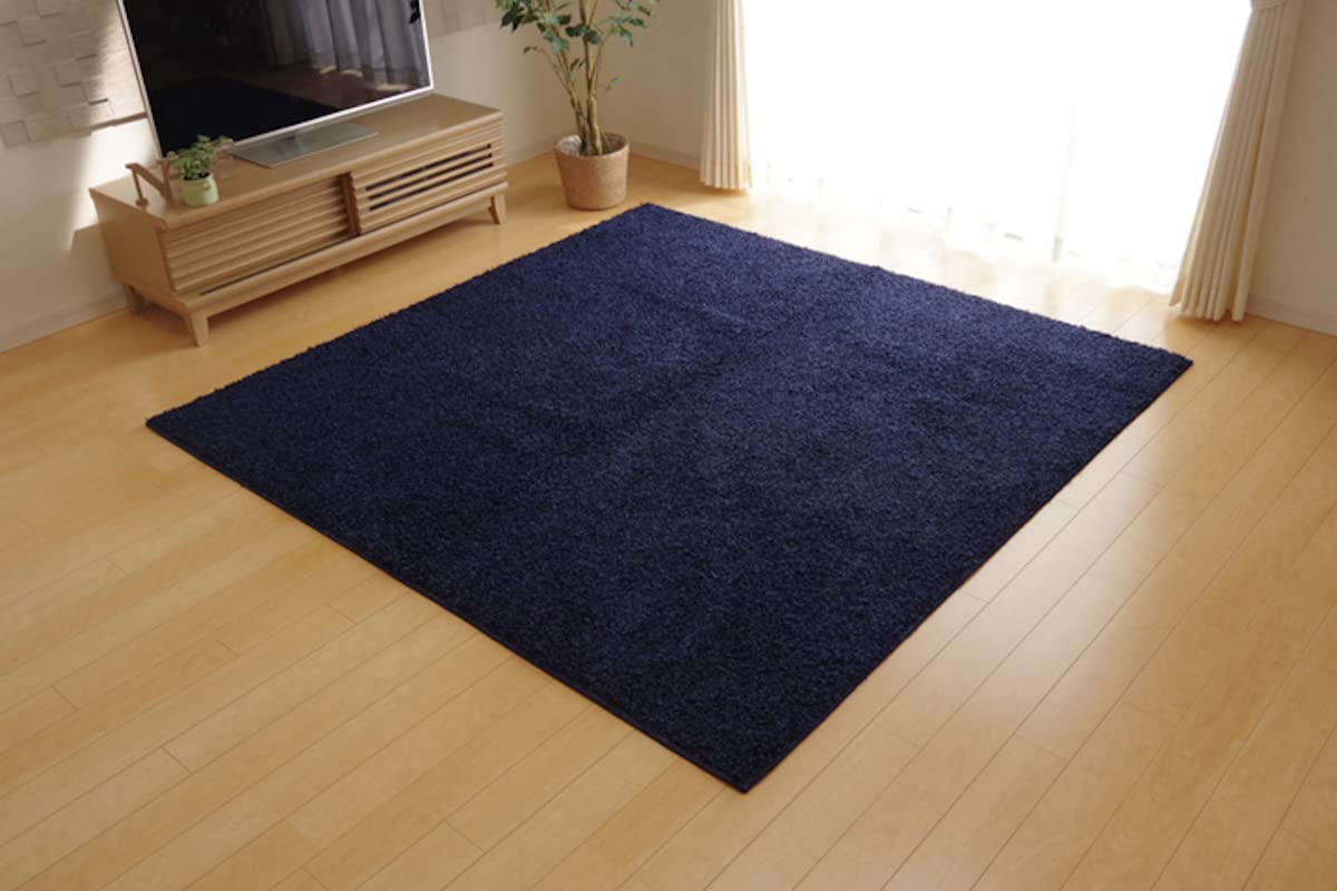 Ikehiko Plain Champs Приблизительно 190 x 240 Запах Пылевой Клещ Пламя Сделано в Японии Ковер, Ткать, Elysees, Синий, см, Антибактериальный, Устойчивый, Устойчивый,
Ikehiko Plain Champs Приблизительно 190 x 240 Запах Пылевой Клещ Пламя Сделано в Японии Ковер, Ткать, Elysees, Синий, см, Антибактериальный, Устойчивый, Устойчивый,