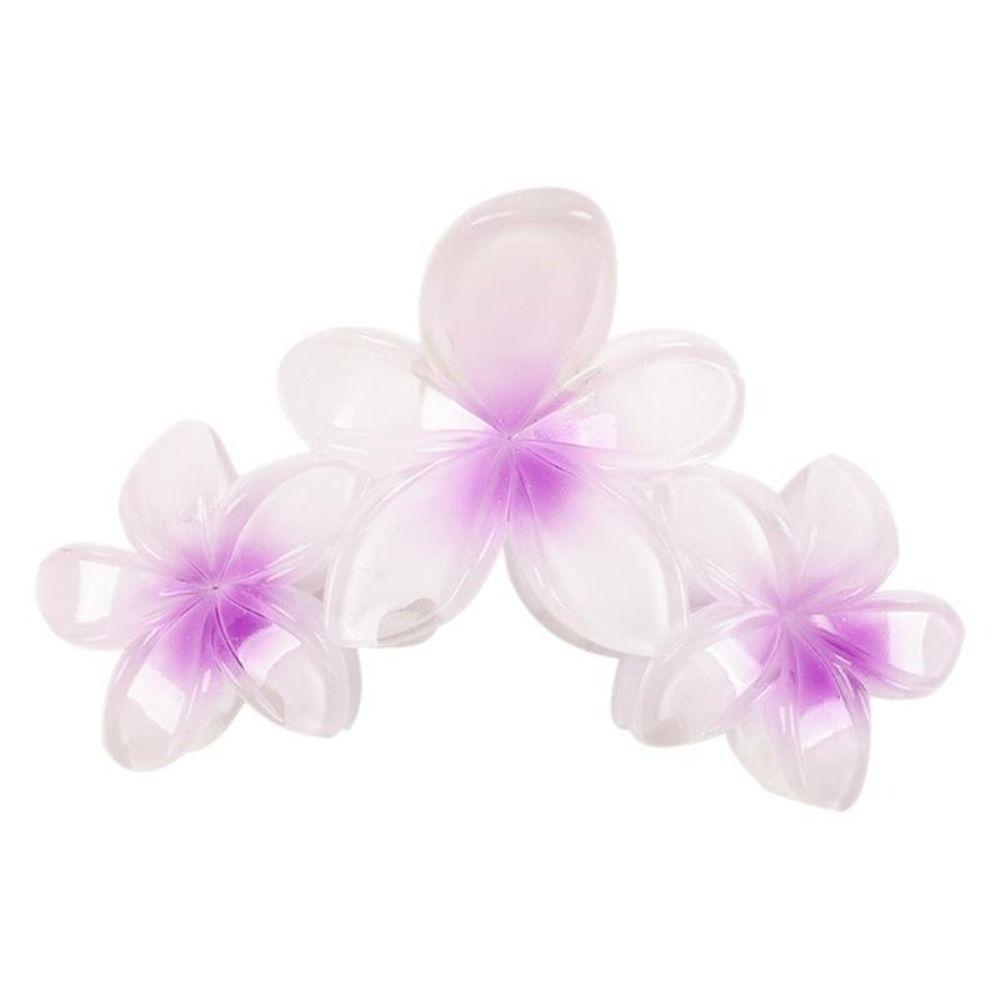 Gradient Design Hair Clip Claws Plumeria Grab Clips Portable Shark Hair Claw Girls Gift 5
Gradient Design Hair Clip Claws Plumeria Grab Clips Portable Shark Hair Claw Girls Gift 5
