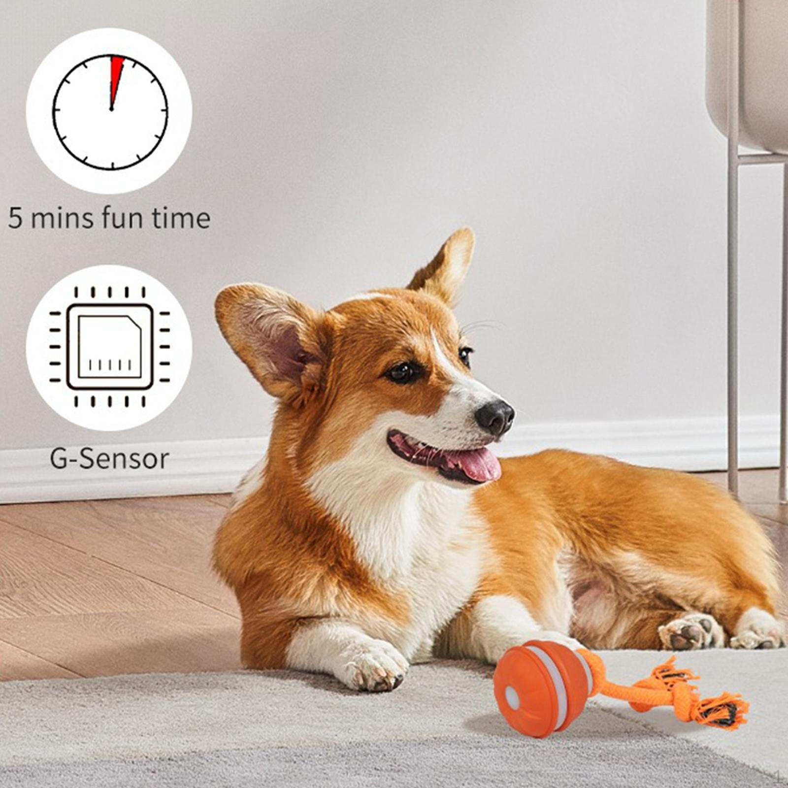 Cat Dog Interactive Toy Ball with Rope Bite Resistant Chewing for Indoor Outdoor Travel Lawn
Cat Dog Interactive Toy Ball with Rope Bite Resistant Chewing for Indoor Outdoor Travel Lawn