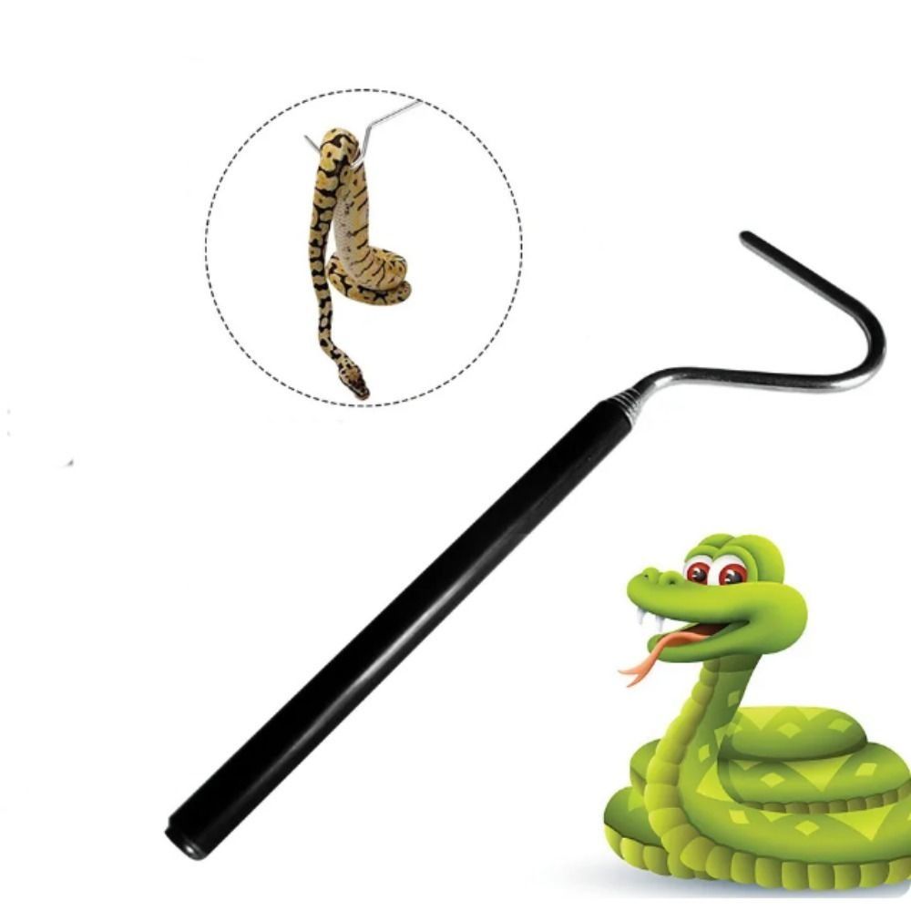 Non-rust Retractable Snake Hook Stainless Steel Reptile Catching Tool Reptile Hook Lizard
Non-rust Retractable Snake Hook Stainless Steel Reptile Catching Tool Reptile Hook Lizard