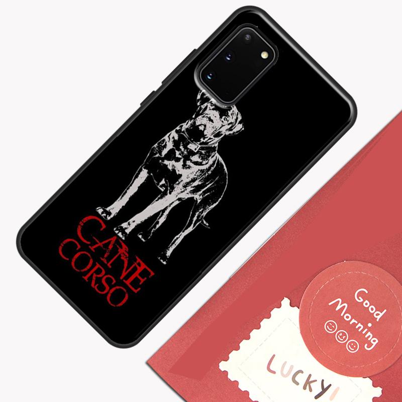 Cane Corso Italian Mastiff Phone Case For Samsung Galaxy S26 S25 S24 S20 S21 S22 S23 Ultra S10 Plus S25 FE Cover Shell Galaxy S26Ultra
Cane Corso Italian Mastiff Phone Case For Samsung Galaxy S26 S25 S24 S20 S21 S22 S23 Ultra S10 Plus S25 FE Cover Shell Galaxy S26Ultra