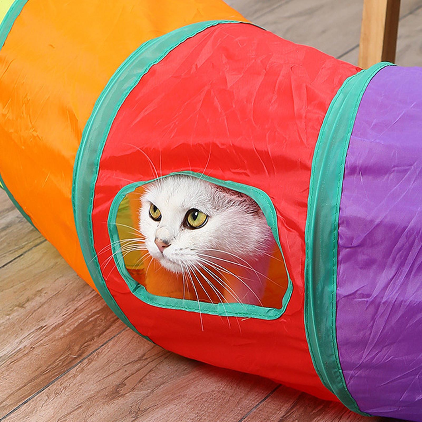 Cat Tunnels Small Cat Tunnel Foldable Tube Playground For Rabbit Dogs Bunny Small Animal Indoor Outdoor Home Activity United States
Cat Tunnels Small Cat Tunnel Foldable Tube Playground For Rabbit Dogs Bunny Small Animal Indoor Outdoor Home Activity United States