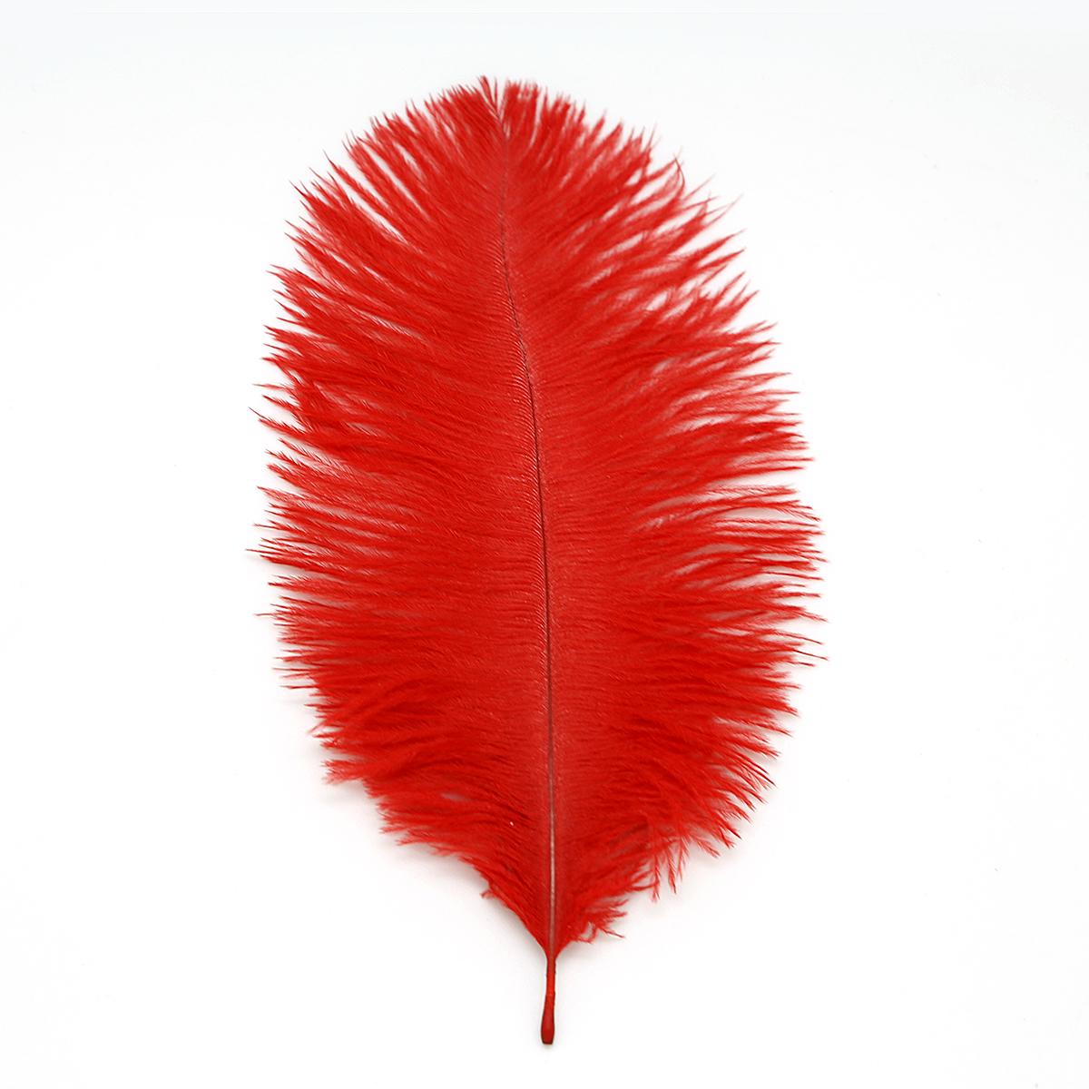 Красивые страусиные перья для самостоятельного изготовления ювелирных изделий, декора для свадебной вечеринки, аксессуары, свадебное украшение 15-20cm 10pcs красный
Красивые страусиные перья для самостоятельного изготовления ювелирных изделий, декора для свадебной вечеринки, аксессуары, свадебное украшение 15-20cm 10pcs красный