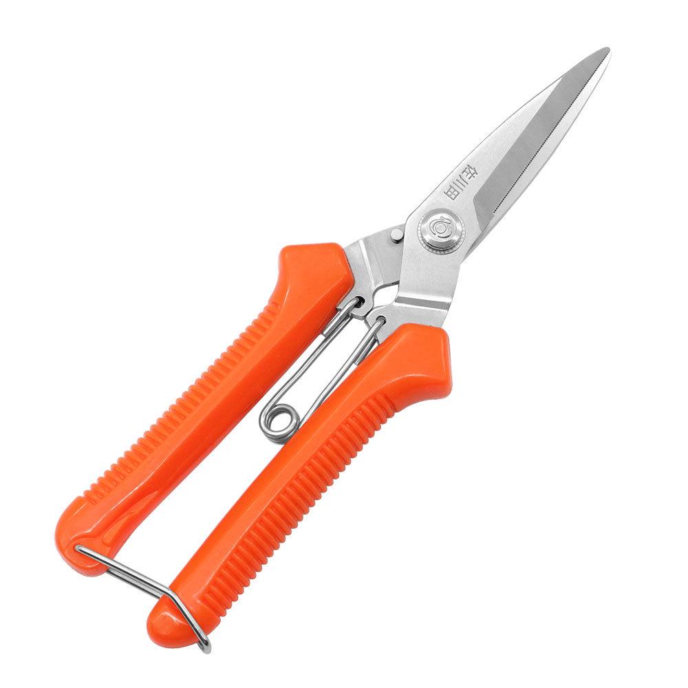 Taiwan Sagawa 907 Thickened Serrated Shears for Fruit Picking, Harvesting, Branch Cutting, and Flower Arranging.
Taiwan Sagawa 907 Thickened Serrated Shears for Fruit Picking, Harvesting, Branch Cutting, and Flower Arranging.