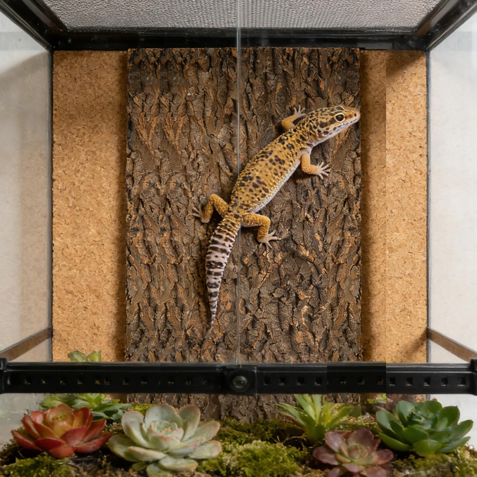 Reptile Cork Bark Water-Resistant Climbing Exercise Toy Terrarium Natural Cork Bark For Snake Lizard Tortoise Gecko Turtle China Mainland
Reptile Cork Bark Water-Resistant Climbing Exercise Toy Terrarium Natural Cork Bark For Snake Lizard Tortoise Gecko Turtle China Mainland