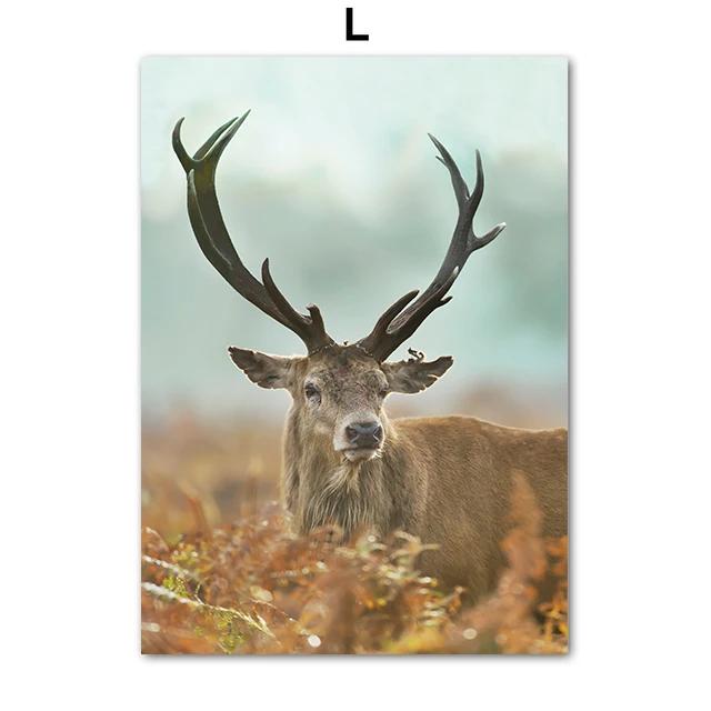 Green Landscape Picture Poster, Canvas Painting, Wall Art, Flower and Print, Modern Home, Living Room Decor, Field, Mountain, La 21x30cm No Framed
Green Landscape Picture Poster, Canvas Painting, Wall Art, Flower and Print, Modern Home, Living Room Decor, Field, Mountain, La 21x30cm No Framed