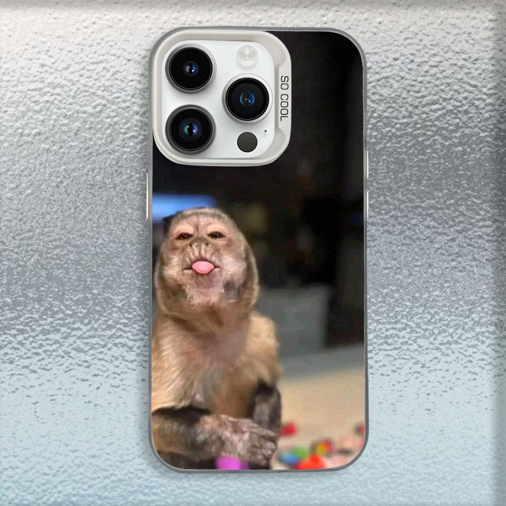 Милый Смешной Обезьянка Чехол для Телефона Для iPhone 16,15,14,13,12,11,Mini,Pro,MAX Белый Матовый Ударопрочный Чехол iPhone14
Милый Смешной Обезьянка Чехол для Телефона Для iPhone 16,15,14,13,12,11,Mini,Pro,MAX Белый Матовый Ударопрочный Чехол iPhone14