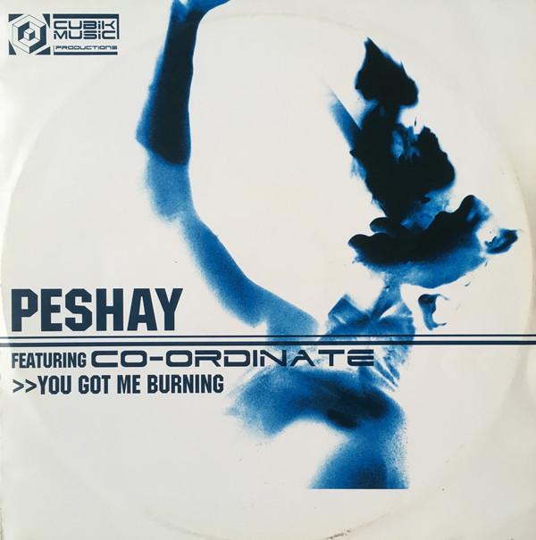 12inch Record PESHAY, CO-ORDINATE - You Got Me Burning / Fuzion CUBIKSAMP001 Cubik Music Pro 2002 UK Dance & Electronica Used
12inch Record PESHAY, CO-ORDINATE - You Got Me Burning / Fuzion CUBIKSAMP001 Cubik Music Pro 2002 UK Dance & Electronica Used