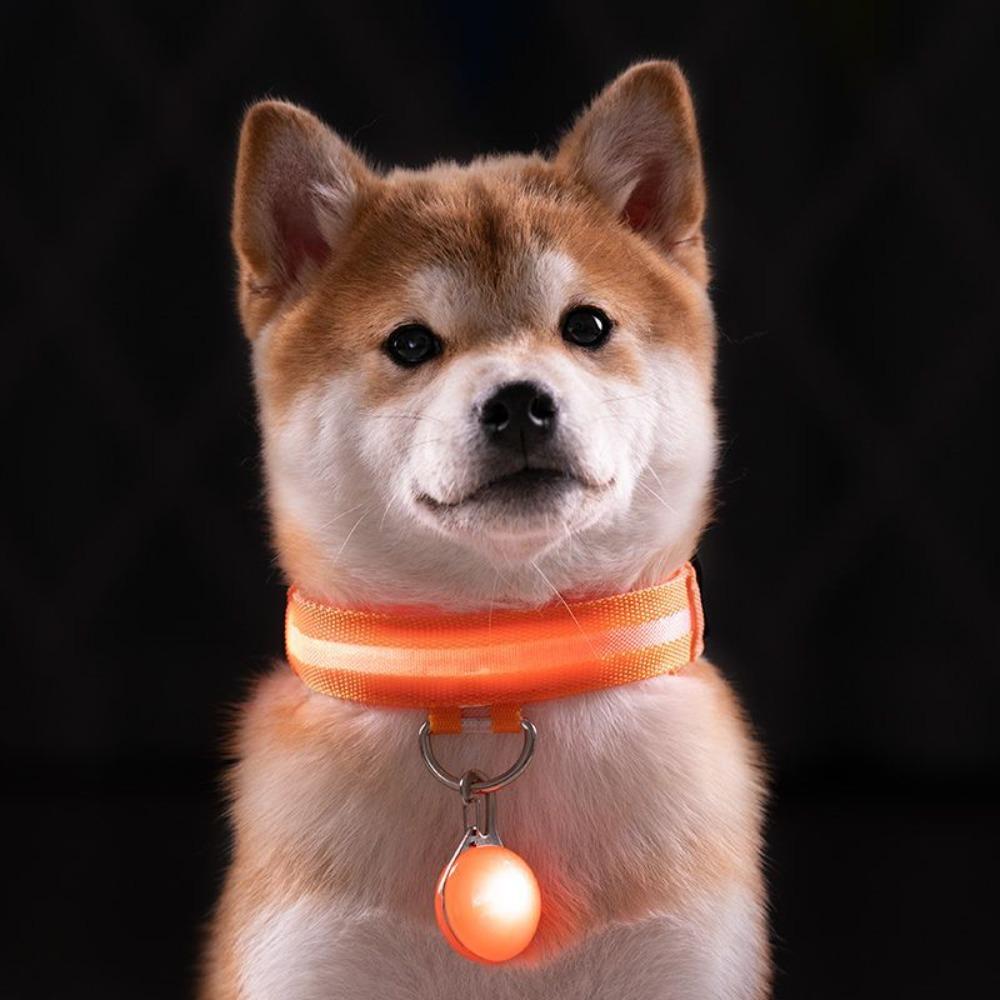 Adjustable Luminous Safety Collar With Flashing Pendant Loss Prevention LED Collar Cat XS помаранчевий
Adjustable Luminous Safety Collar With Flashing Pendant Loss Prevention LED Collar Cat XS помаранчевий