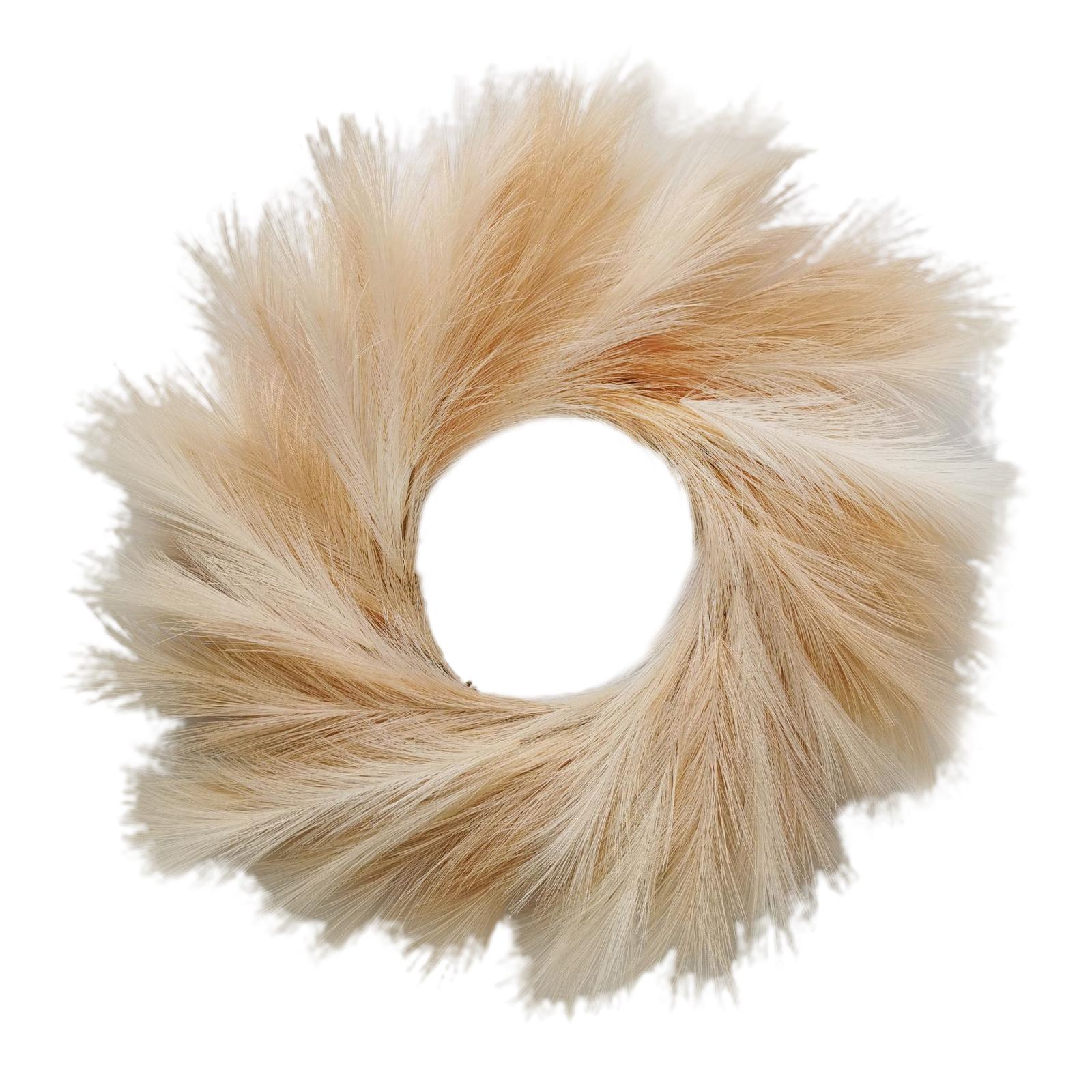 Artificial Pampas Grass Wreath Simulated Reed Wreath Faux Pampas Grass Wreath Decor for Home Living
Artificial Pampas Grass Wreath Simulated Reed Wreath Faux Pampas Grass Wreath Decor for Home Living