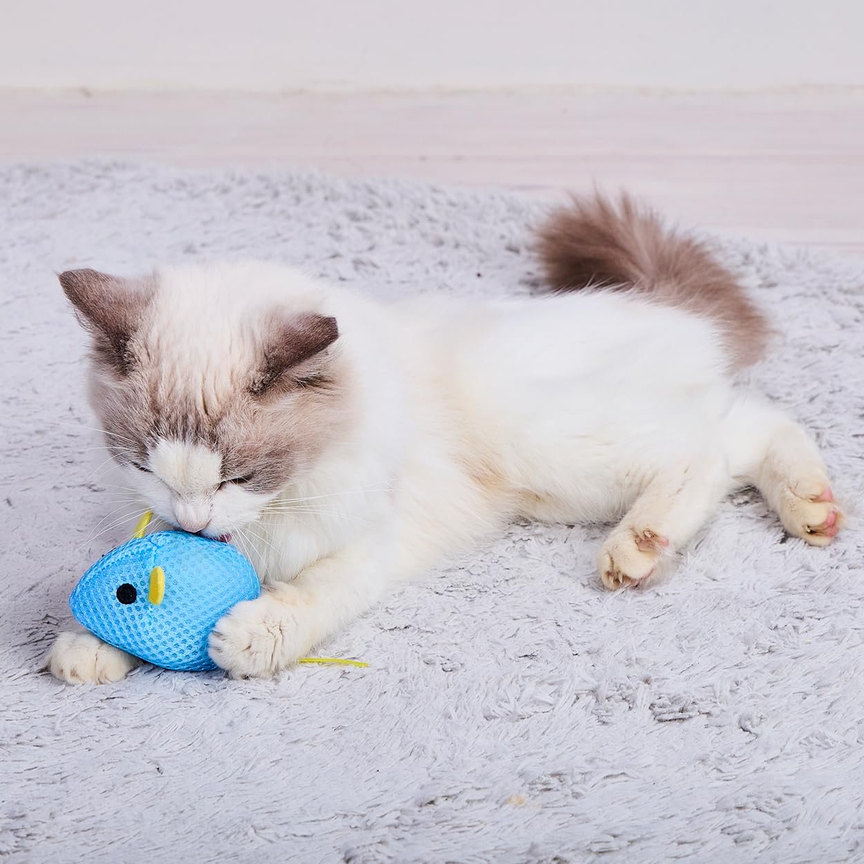 Petio Wild Mouse Cat Toy, Squeak Squeak, NOISY Panic Blue Mouse
Petio Wild Mouse Cat Toy, Squeak Squeak, NOISY Panic Blue Mouse