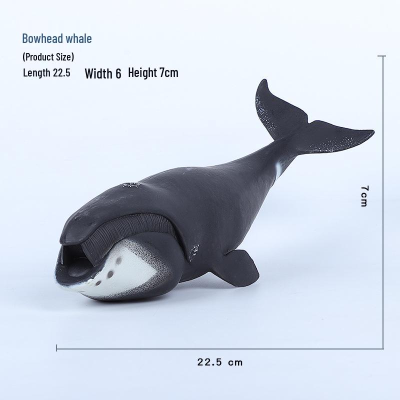 Orca, Blue Whale, Shark & Sperm Whale Marine Animal Model Toy for Early Childhood Education
Orca, Blue Whale, Shark & Sperm Whale Marine Animal Model Toy for Early Childhood Education