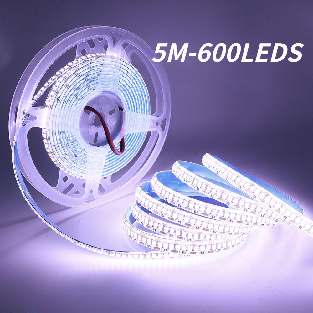 5 м SMD 2835 светодиодные ленты постоянного тока 12 В 60 светодиодов 120 светодиодов гибкие светодиодные ленты для внутреннего украшения дома водонепроницаемые IP67 IP30 no-waterproof&60LED&5m 12V теплый белый
5 м SMD 2835 светодиодные ленты постоянного тока 12 В 60 светодиодов 120 светодиодов гибкие светодиодные ленты для внутреннего украшения дома водонепроницаемые IP67 IP30 no-waterproof&60LED&5m 12V теплый белый