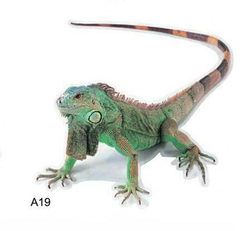 Нова тривимірна наклейка для автомобіля Павук Геккон Симуляція тварини Наклейка хвоста автомобіля Реалістична модифікація Креативний декор
Нова тривимірна наклейка для автомобіля Павук Геккон Симуляція тварини Наклейка хвоста автомобіля Реалістична модифікація Креативний декор