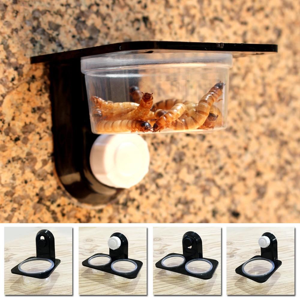 New Newest Nobby Sale Fashion Fashionable Reptile Feeder ABS Bowl Dish Single box-Suction cup
New Newest Nobby Sale Fashion Fashionable Reptile Feeder ABS Bowl Dish Single box-Suction cup