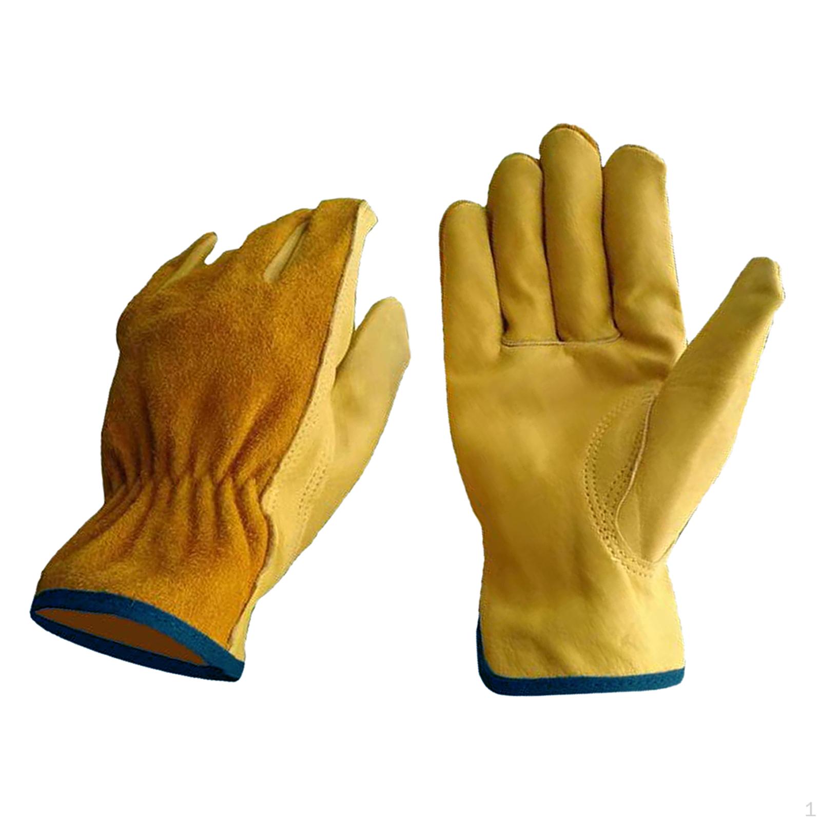 1 Pair Garden Work Gloves Tools Wood XL dark blue edge
1 Pair Garden Work Gloves Tools Wood XL dark blue edge