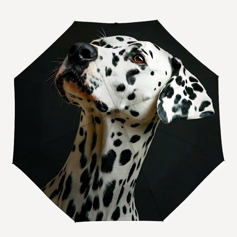 1pc Dalmatian Spots Automatic Open/Close Umbrella - Compact Travel Umbrella with 8-Rib Durable Frame, Lightweight & Portable Design z33
1pc Dalmatian Spots Automatic Open/Close Umbrella - Compact Travel Umbrella with 8-Rib Durable Frame, Lightweight & Portable Design z33
