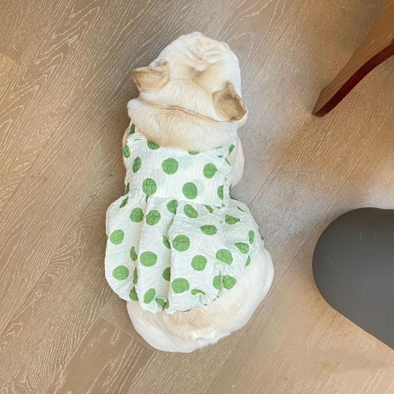 Dog clothes French bucket skirt Schnauzer West Highland spring and autumn than bear teddy breathable spring pet supplies XXL chest 64 back 37 about 14.5 kg
Dog clothes French bucket skirt Schnauzer West Highland spring and autumn than bear teddy breathable spring pet supplies XXL chest 64 back 37 about 14.5 kg