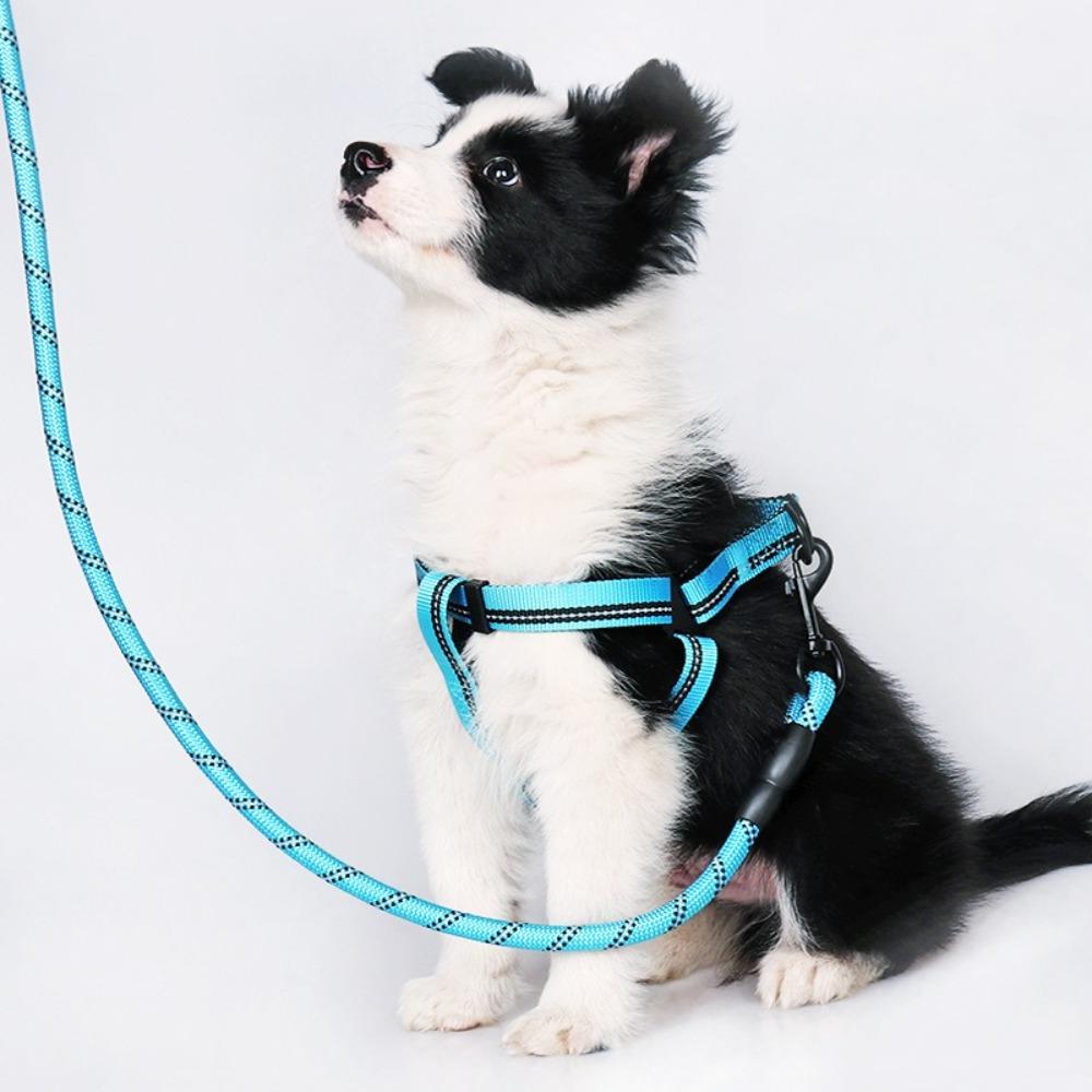 Anti Pull Dog Leash Explosion Proof Pet Traction Belt Dog Chain Small and Medium-sized Dog S червоний
Anti Pull Dog Leash Explosion Proof Pet Traction Belt Dog Chain Small and Medium-sized Dog S червоний