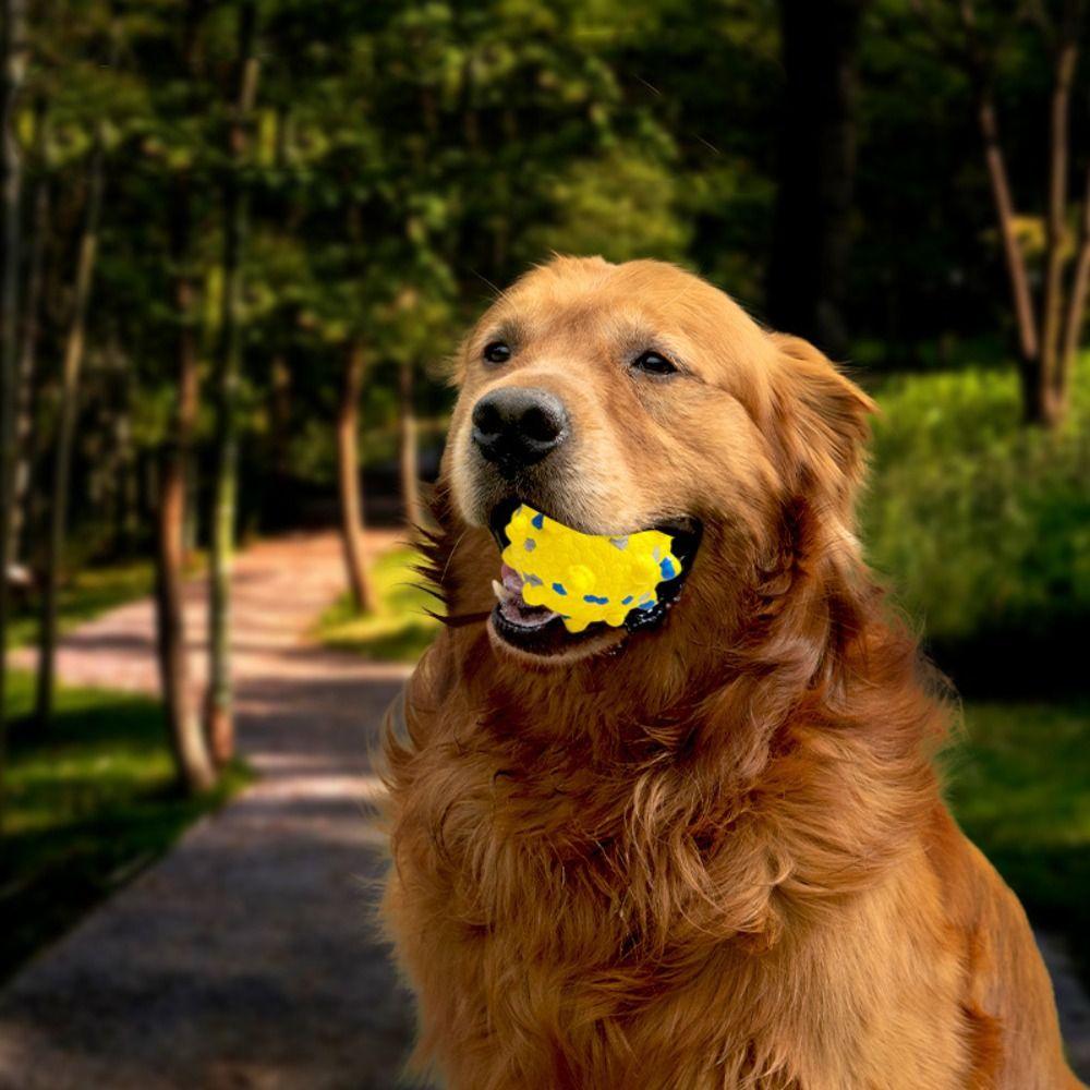 Bite Resistant Pet Toy Ball Durable Dogs Bouncing Ball Toy Pet Supplies Dog Training Toy Gift M зелений
Bite Resistant Pet Toy Ball Durable Dogs Bouncing Ball Toy Pet Supplies Dog Training Toy Gift M зелений