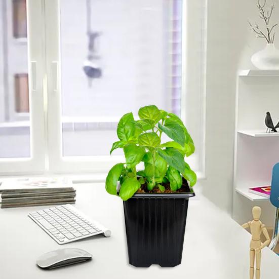 Yousheng 100Pcs Square Nursery Pots Eco-friendly Reusable Space-saving Vegetable Plant Transplant Starter Pots
Yousheng 100Pcs Square Nursery Pots Eco-friendly Reusable Space-saving Vegetable Plant Transplant Starter Pots