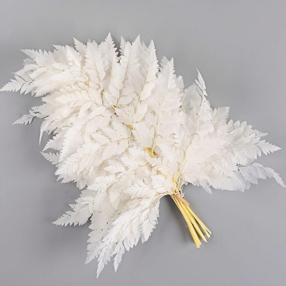 Засушенный лист папоротника для украшения дома, Вечная жизнь, Натуральное растение папоротника, Материал для изготовления цветов своими руками, Свадьба, Дом, 5 шт., 10 шт. 5pcs белый
Засушенный лист папоротника для украшения дома, Вечная жизнь, Натуральное растение папоротника, Материал для изготовления цветов своими руками, Свадьба, Дом, 5 шт., 10 шт. 5pcs белый