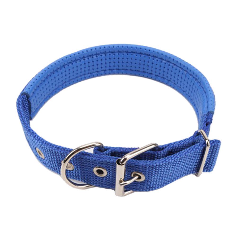 Pet Dog Collar Cat Puppy Strap Buckle Rhinestone Adjustable 4Colours
Pet Dog Collar Cat Puppy Strap Buckle Rhinestone Adjustable 4Colours