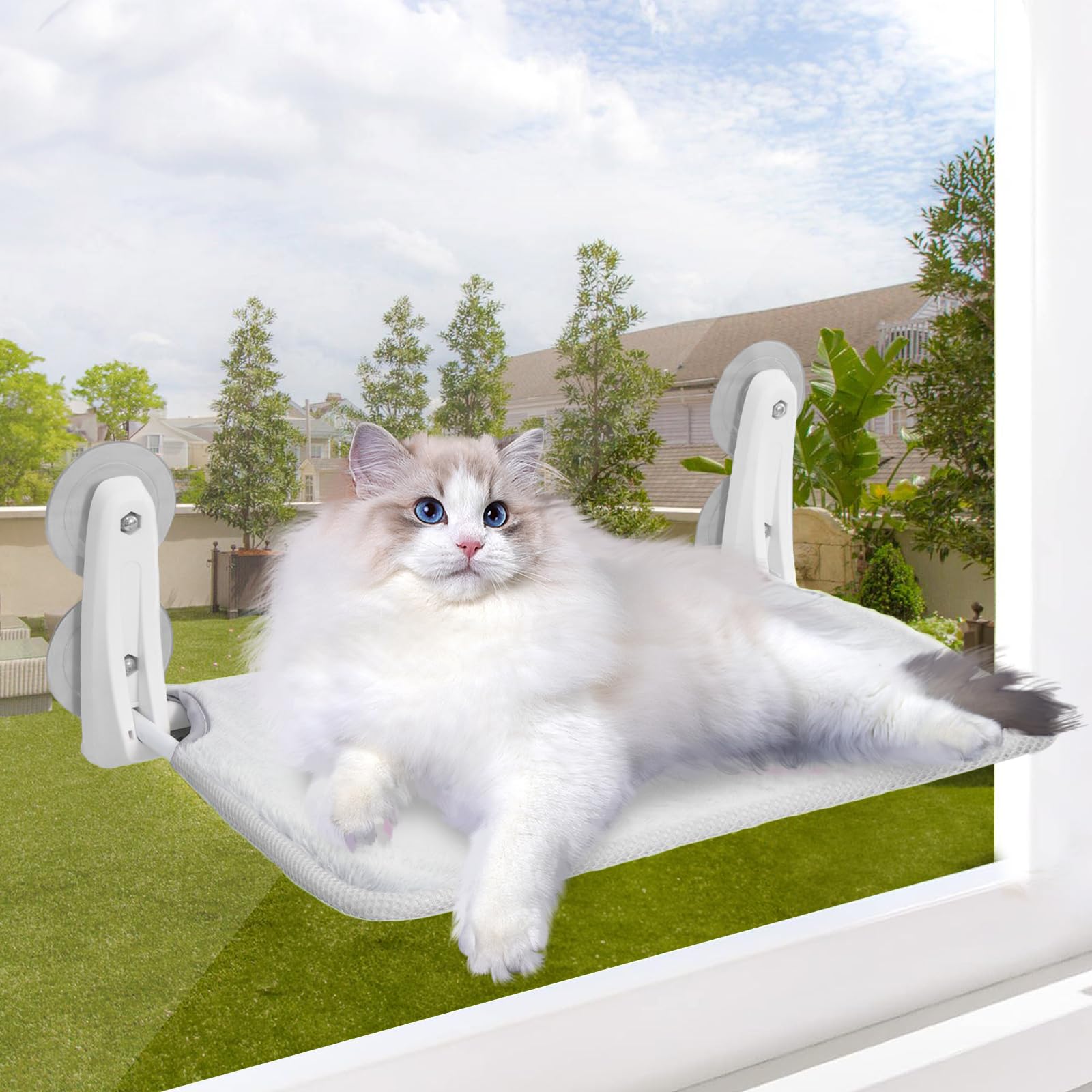 Cat Hammock Suction Cup Adhesive Window Cat Bed Foldable Washable Comfortable Resting Spot Space Saving Design Increase Your Enjoyment Beautiful
Cat Hammock Suction Cup Adhesive Window Cat Bed Foldable Washable Comfortable Resting Spot Space Saving Design Increase Your Enjoyment Beautiful