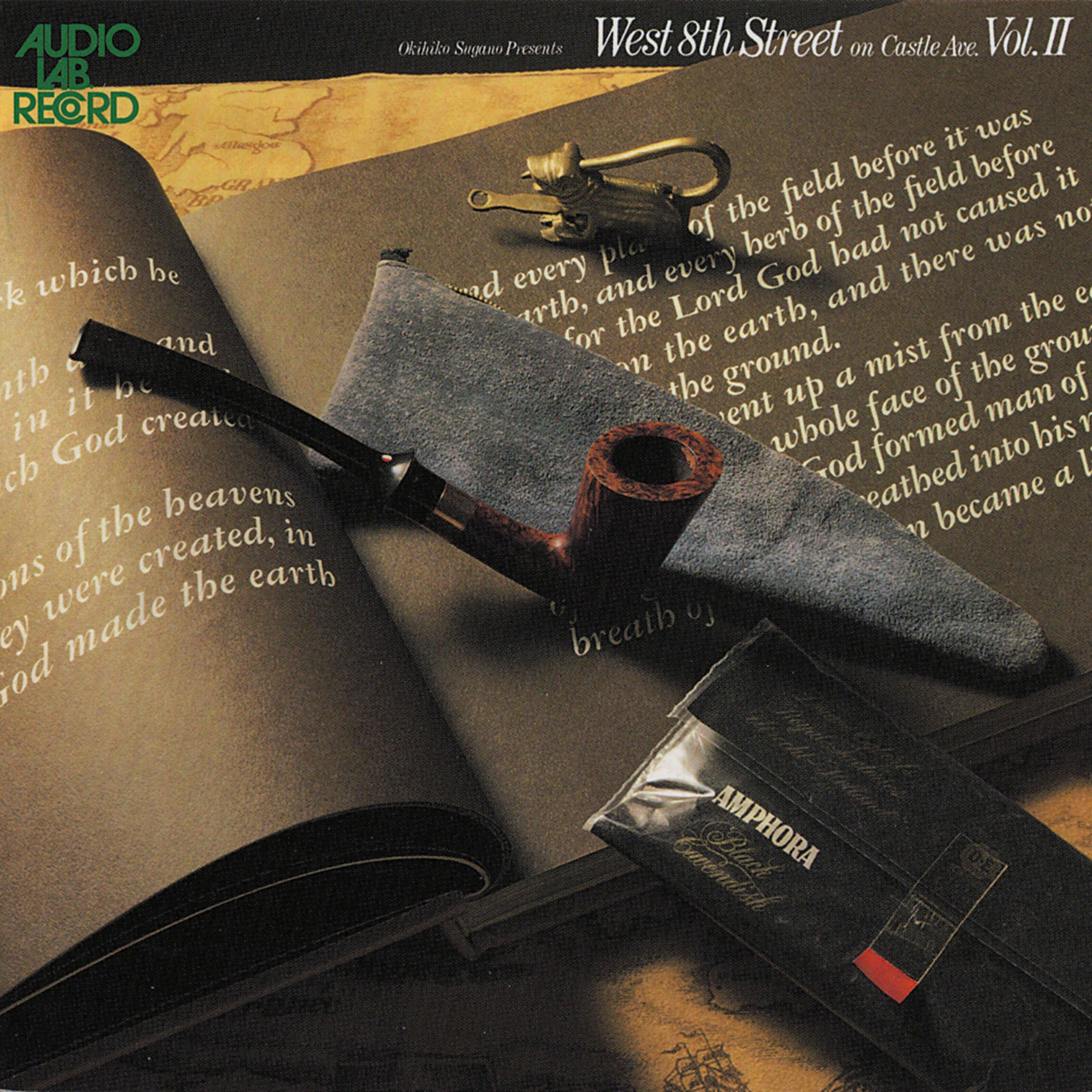 West 8th Street on Castle Avenue Vol.II
West 8th Street on Castle Avenue Vol.II