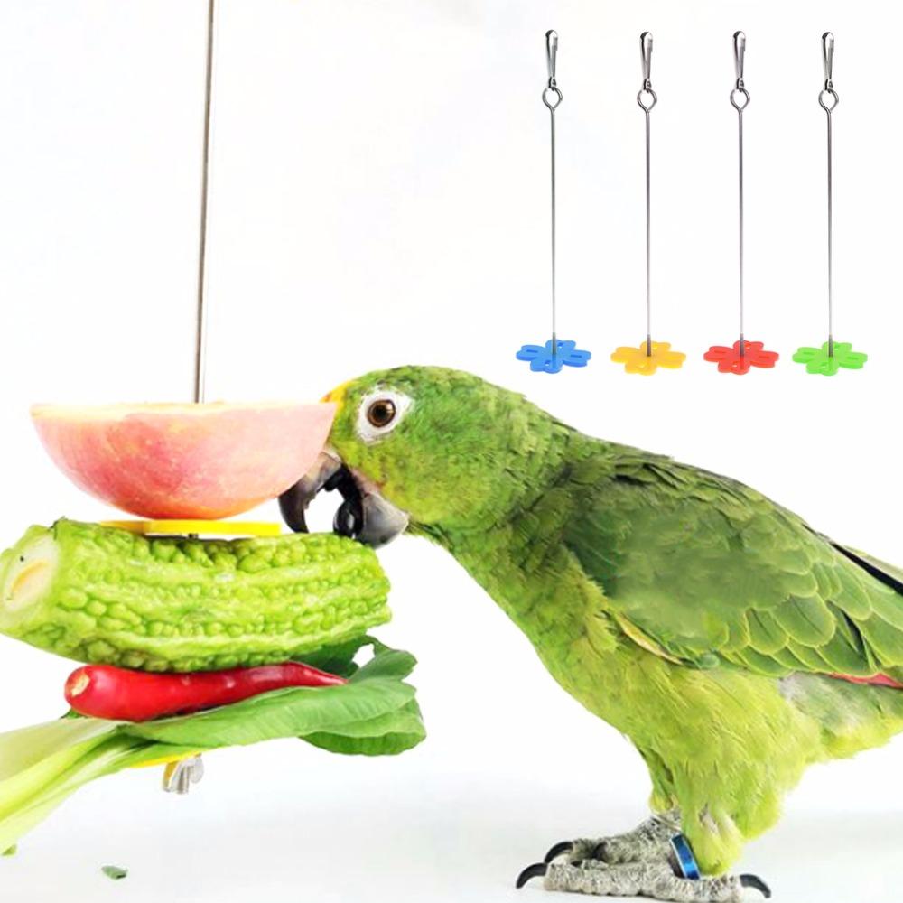 Parrot Fruit Fork Spear Holder Feeding Birds Hang Cage Accessories Stainless Steel Parakeet Skewer 2 Size Birds Supplies S
Parrot Fruit Fork Spear Holder Feeding Birds Hang Cage Accessories Stainless Steel Parakeet Skewer 2 Size Birds Supplies S