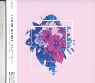 CD BLACKBIRD BLACKBIRD - Boracay Planet + ARTPL030PROMO PLANCHA Japan Obi Dance & Electronica Used
CD BLACKBIRD BLACKBIRD - Boracay Planet + ARTPL030PROMO PLANCHA Japan Obi Dance & Electronica Used