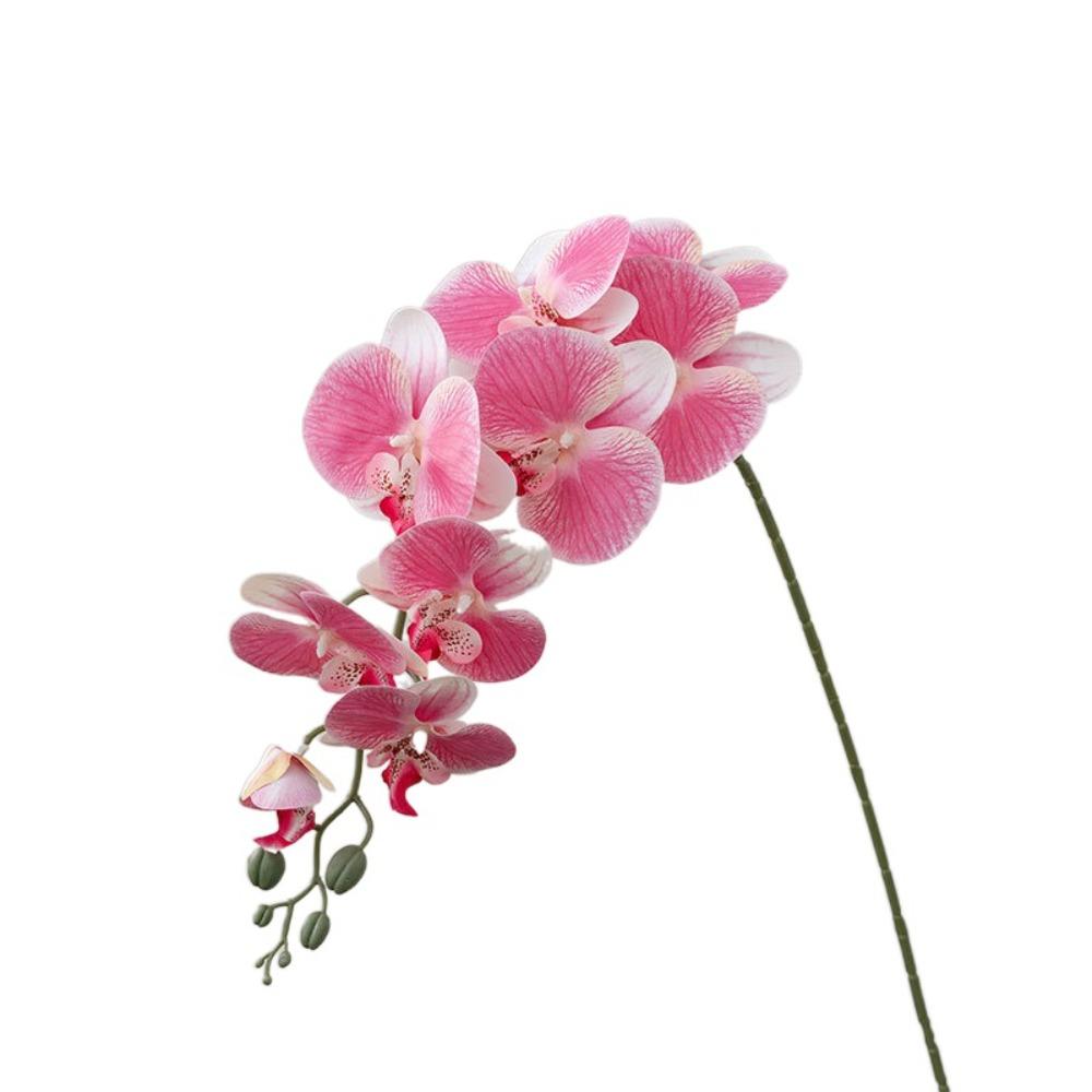9 Head Artificial Phalaenopsis Branches Realistic Real Touch Fake Flowers Handmade Simulation Plant Home Garden рожевий
9 Head Artificial Phalaenopsis Branches Realistic Real Touch Fake Flowers Handmade Simulation Plant Home Garden рожевий