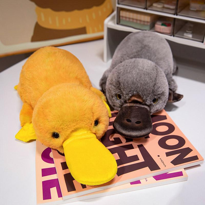 Cute Realistic Platypus Plush Toys for Kids Plush Doll Boys Birthday Gifts Sofa Pillows Stuffed Animal Toys Plush Platypus Toy 45cm
Cute Realistic Platypus Plush Toys for Kids Plush Doll Boys Birthday Gifts Sofa Pillows Stuffed Animal Toys Plush Platypus Toy 45cm