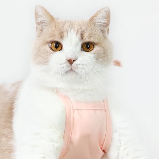 Yousheng Pet Bellyband Регулируемый ремень Halter Dog Дышащий удобный Bellyband Защитный живот Pet Товары для собак
Yousheng Pet Bellyband Регулируемый ремень Halter Dog Дышащий удобный Bellyband Защитный живот Pet Товары для собак