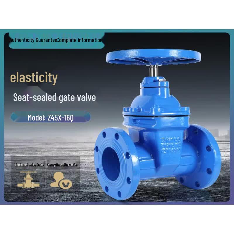 DN125 Soft Sealing Gate Valve
DN125 Soft Sealing Gate Valve